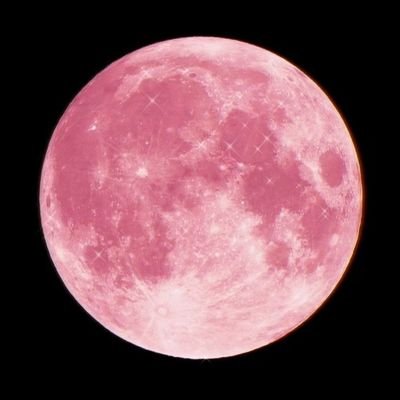 keygouto's profile picture. 