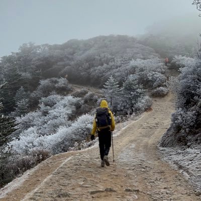 sudscholes's profile picture. Just here to read quoted replies