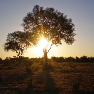 YennegaT22162's profile picture. 