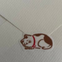aprilstars (@aprilstars15384) 's Twitter Profile