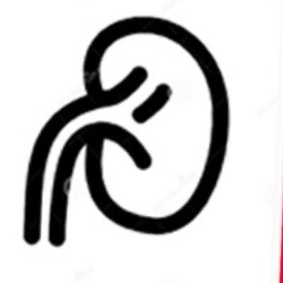 Left Kidney for the meme / Right Kidney for the Bottom |