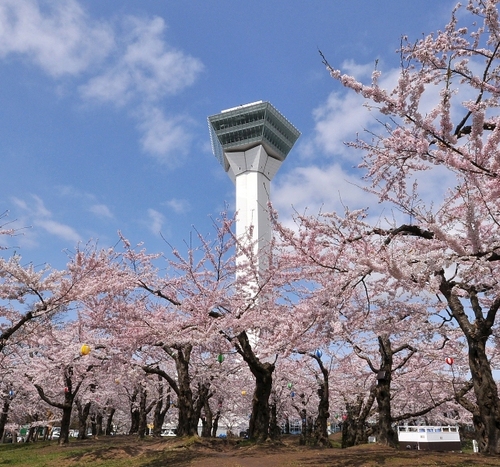 職員採用情報をつぶやきます。中の人は函館市役所採用担当者。
みんなのルール
【１】旬な情報をつぶやけるようにがんばります！
【２】タイムリーなリプライは出来ませんm(_ _)m大切な問合せはメールや電話でして下さい。
【３】就職活動は社会人への階段。ルールやマナーは守ってね。
【４】素敵な社会人の卵を応援します！