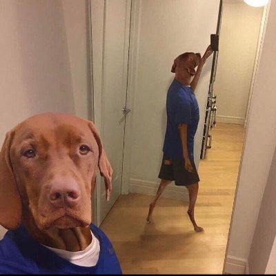 @JobhuntChronic