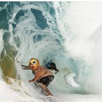 Harry Tick (@kennethlickit) 's Twitter Profile
