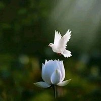 ملهمي (@molhemi3026) 's Twitter Profile