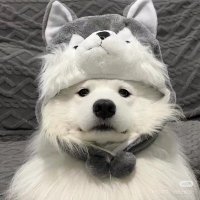 温柔老师 (@darrrrrrrrling) Twitter profile photo