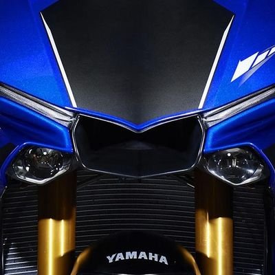 TheRealBestion's profile picture. Follow for knowledge 🧠 | Break the Matrix 🌐 | Don't die (Scivive) 🧬 | DeFi 💸 | RH maxi 🚀 | Motorsports enthusiasts 🏍️ | Wagyu only 🥩