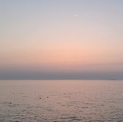 Bleu_Blue1204's profile picture. 잡덕입니다!
탐라의 공기를 맡고있어요!