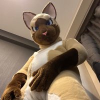 HATSUKA (@hatsuka_cat) 's Twitter Profile