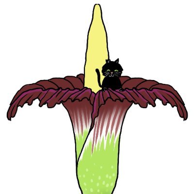 Edinburgh Botanics - Connecting school children with plants - biodiversity, sustainability, Stem, wellbeing.