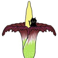 School Gardeners (@schgardeners) 's Twitter Profile