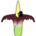 School Gardeners (@schgardeners) Twitter profile photo School Gardeners (@schgardeners) Twitter profile photo