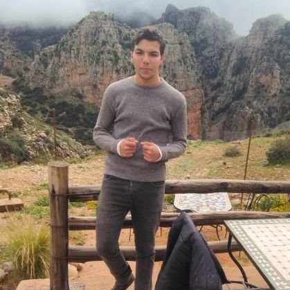 OUSSAMokko's profile picture. Domain investor