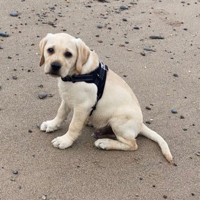 Peel_Gal's profile picture. I don’t think you’re ready for this jelly