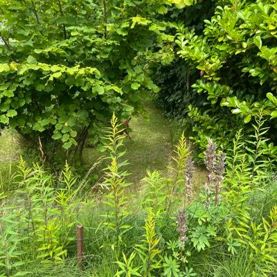 Sarah277105's profile picture. 