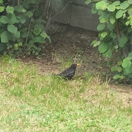 Montcada5's profile picture. 