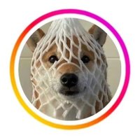 บ. (@boy_toy1212) 's Twitter Profile Photo