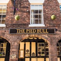 Pied Bull (@piedinn) 's Twitter Profile