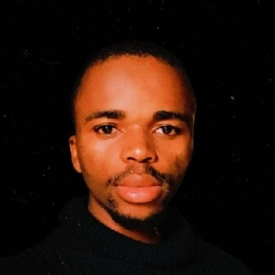 LNezambe's profile picture. 