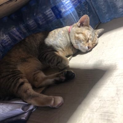 aaさんのプロフィール画像