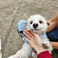 😘 Love π, XRP, XLM (@hanhnho7999) 's Twitter Profile Photo 😘 Love π, XRP, XLM (@hanhnho7999) 's Twitter Profile Photo