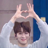 wonwooqueencard (@vearinam) 's Twitter Profile