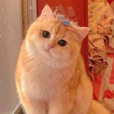 Olah Data • Manipulasi Data • Publish Jurnal • Parafrase • Formatting Word • Jurnal/Makalah/Essay • Joki Tulis • Animasi/Blender • Ujian Realtime - @_ailenamei