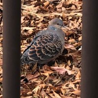 なまる (@opxvutahaklwxbb) Twitter profile photo