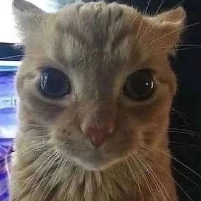 TIV0NH's profile picture. 