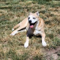 Hot Burrito (@hotburrito13) 's Twitter Profile