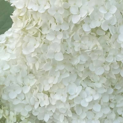 あたまやなさんのプロフィール画像