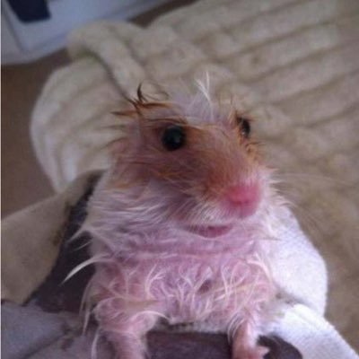 tyughjbn132's profile picture. 