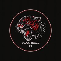 Hillcrest-Evergreen Football (@hillcrestjagsfb) 's Twitter Profile