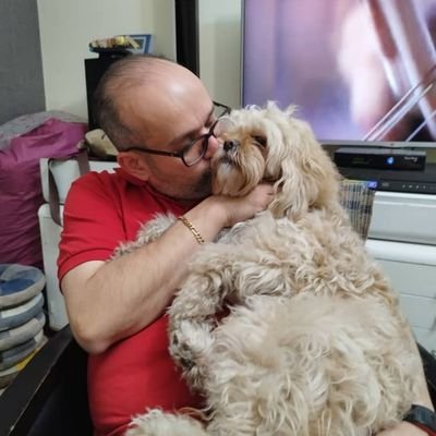 SanatiMostafa's profile picture. Telegram : mostafasanati