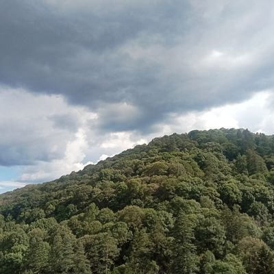 GerardoCam71548's profile picture. 