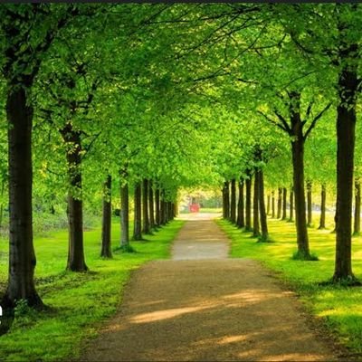 lostCountry_'s profile picture. 100% I follow back...  😍 💋

RESET governance in AFRICA