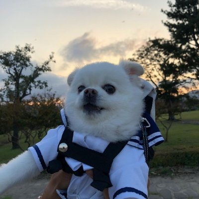 人生は旅のようなもので、出会ったのは感動的なものもあれば、悲しむものもあり、わくわくするものもあれば、がっかりするものもあり、素晴らしい景色もあれば、景色とは言えない風だけの場所もある。そして、困難に満ちた人生の旅の途中で、挑戦や成長の機会もありますね! 😌💫