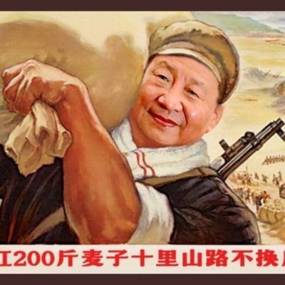 tsky_xjp's profile picture. 亲自指挥亲自部署
