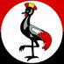 David katimbo (@katimbo_david) Twitter profile photo David katimbo (@katimbo_david) Twitter profile photo