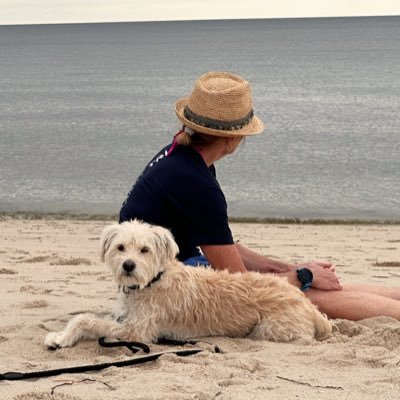 lynpaget's profile picture. 