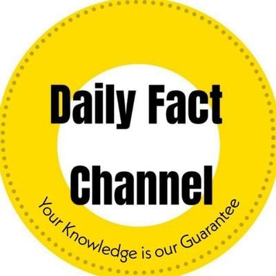 DailyFactChanne's profile picture. Latest News in Short Words
