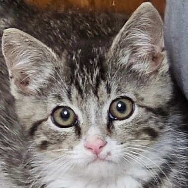 MichaelPaintsEm's profile picture. https://t.co/GWzuGalG5a
https://t.co/Mo97QKfdr1