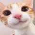 hi (@justinsunfanacc) Twitter profile photo hi (@justinsunfanacc) Twitter profile photo