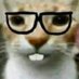 The Chaval's Pe (@s_whent_s) Twitter profile photo The Chaval's Pe (@s_whent_s) Twitter profile photo