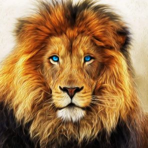 royal171717's profile picture. 