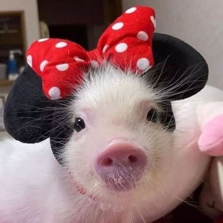 172