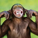 Shane Coyle - @shanecoyle - Twitter