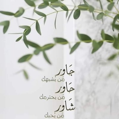 BashaKld's profile picture. 