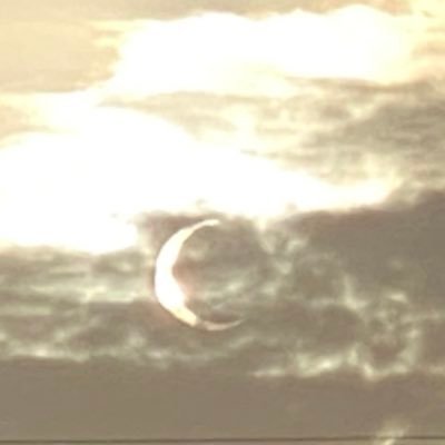 Eolivei10820697's profile picture. 