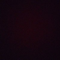 la pupute (@lapupfute) 's Twitter Profile